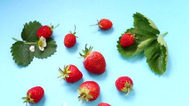 Mavi bir yüzey üzerinde parlak olgun çilekler.