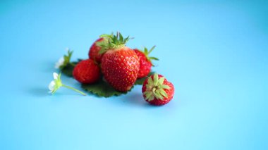 Mavi bir yüzey üzerinde parlak olgun çilekler.