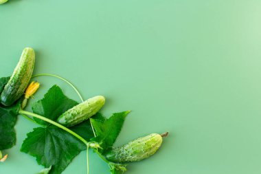 Çıtır yeşil salatalık ve yapraklar zıt bir bileşim oluşturur..