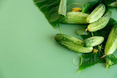 Yeşil bluzlu sağlıklı salatalıklar diyet menüsü için idealdir..