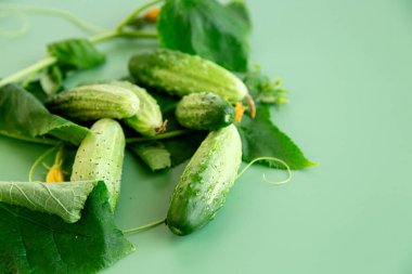 Modern tarzda organik salatalıklar ve bahçe kırbacının yaprakları..