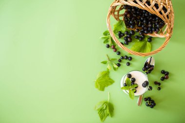 Frenk üzümlü ev yapımı yoğurt, yeşil arka planda izole edilmiş..