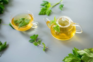 Yukarıdan gelen gri arka planda naneli ve üzümlü bitkisel karışım..