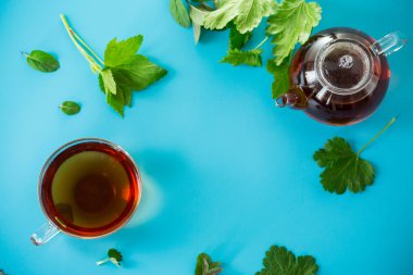 Taze nane ve frenk üzümü yapraklarından doğal yeşil çay.