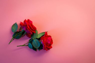 İki kırmızı gülden oluşan romantik bir buket.