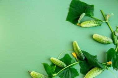 Çıtır yeşil salatalık ve yapraklar zıt bir bileşim oluşturur..