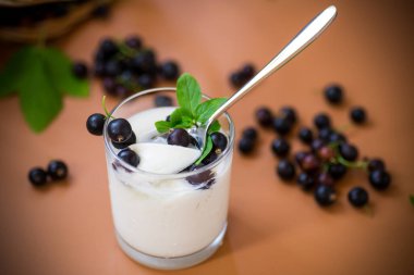 Frenk üzümlü ev yapımı yoğurt, kahverengi arka planda izole edilmiş..