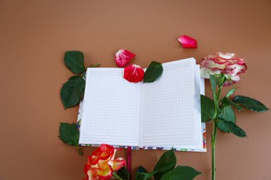 Günü planlamak: kare bir defter, güller ve zarif bir kupa.