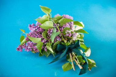 Mavi arka planda beyaz ve mor leylak demeti.