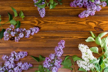 Ahşap zemin üzerinde güzel bahar leylağı ve metin için boşluk.