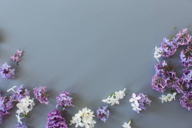 Gri arkaplandaki boş arkaplanda leylak bileşimi üst görünümü.