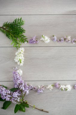 Açık ahşap zemin üzerinde beyaz ve mor leylak çerçevesi.