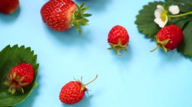 Olgun kırmızı çilek mavi bir arka plan üzerinde.