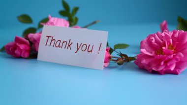 Yumuşak bir pastel yüzeyde gül çiçekleri, minnettarlıkla..