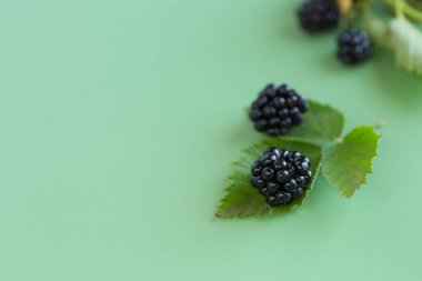 Doğal böğürtlenler, yapraklarla yakın çekim, üst manzara.