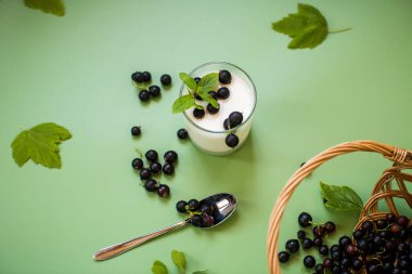 Frenk üzümlü ev yapımı yoğurt, yeşil arka planda izole edilmiş..
