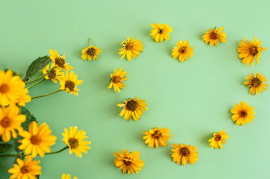 Pastel yeşil yüzeye yerleştirilmiş taze sarı papatya çiçekleri..