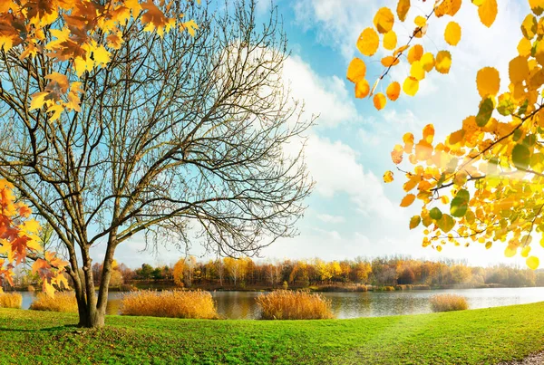 Озеро Парге Катовице Осенью — стоковое фото