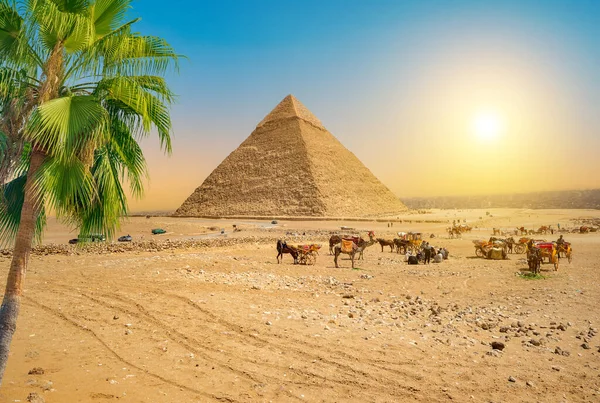 Désert Sablonneux Egypte Coucher Soleil — Photo