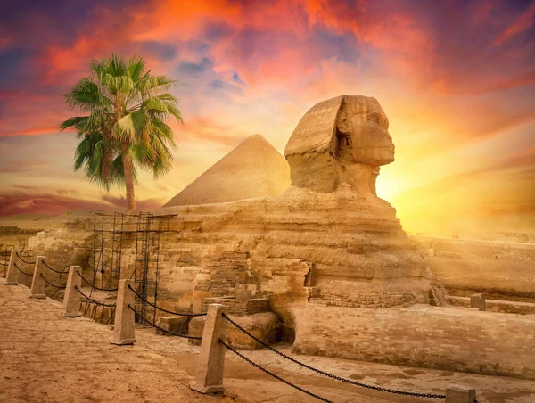 Ünlü Mısır Sfenks Kahire Çöl — Stok fotoğraf