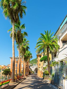 Güney İtalya 'da Bogliasco şehrinde palmiye ağaçları olan yol