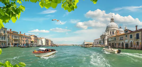 Canal Grande Och Basilica Santa Maria Della Salute Venedig Italien — Stockfoto