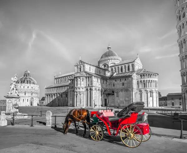 Carrozza Con Cavallo Davanti Alla Torre Pendente Pisa Foto Stock Royalty Free