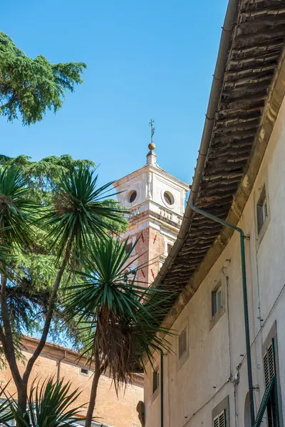 Pisa Toskana Italien Chiesa Nazionale Santo Stefano Dei Cavalieri Cavalieri Stockbild