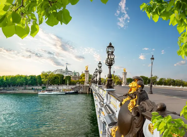 Вид Моста Александра Iii Париже Франция Стоковое Фото