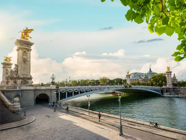 Вид Понта Олександра Iii Парижі Франція Стокова Картинка