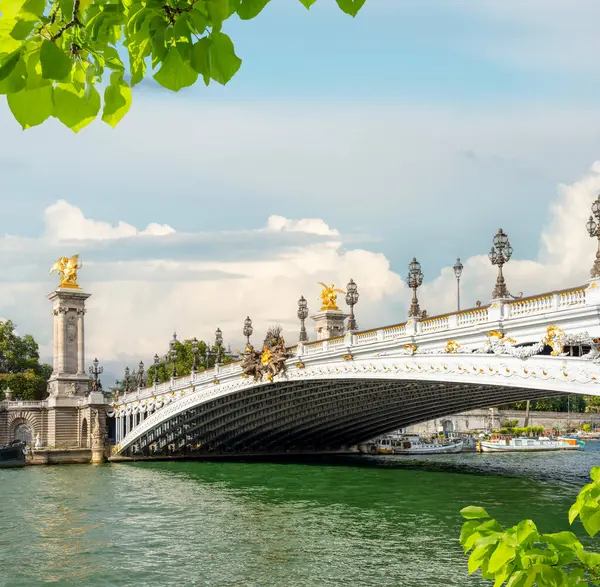 Uitzicht Vanaf Pont Alexandre Iii Parijs Frankrijk Rechtenvrije Stockfoto's