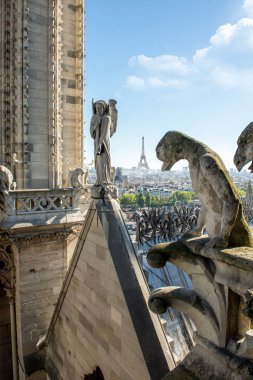 Heykelleri chimeras Notre Dame de Paris, Fransa