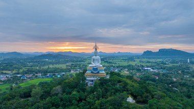 Tayland, Ratchaburi 'deki Wat Nong Hoi Tapınağı' nda büyük bir Buda heykelinin hava görüntüsü..