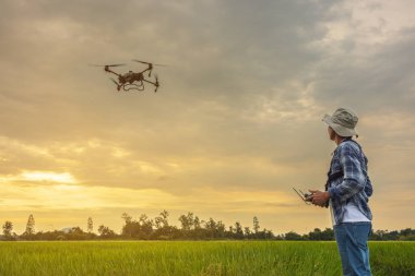Bereli bir çiftçi, yemyeşil bir buğday tarlasında dikiliyor ve uçurumun kenarında uçan bir dronu yönlendiriyor. Malzemeleri erkek kontrol ediyor. Çiftçilik teknolojileri