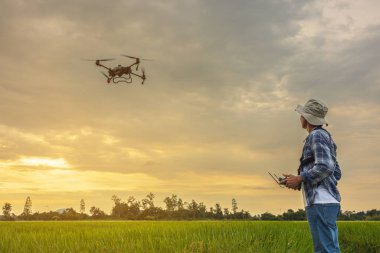 A farmer in a cap stands in a lush wheat field, directing a drone that is flying above the edge. Male controlling the equipment. Farming technologies clipart