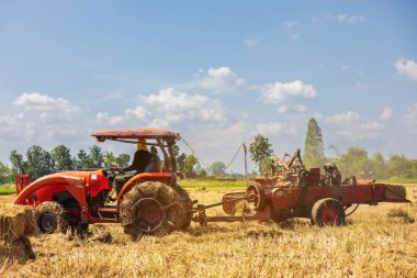 Tayland, Ratchaburi 'de bir çiftlikte çiftçiler pirinç pipetini sıkıştırmak ve paketlemek için tarım makinesi kullanıyorlar..