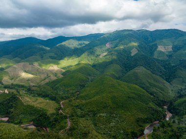 Güneydoğu Asya 'daki bir ağaç ormanının içindeki kavis yolunun havadan görünüşü.