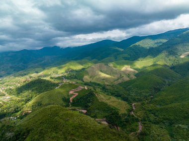 Güneydoğu Asya 'daki bir ağaç ormanının içindeki kavis yolunun havadan görünüşü.