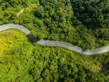 Güneydoğu Asya 'daki bir ağaç ormanının içindeki kavis yolunun havadan görünüşü.