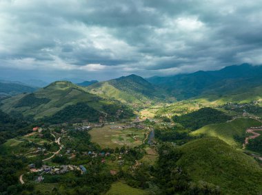 Güneydoğu Asya 'daki bir ağaç ormanının içindeki kavis yolunun havadan görünüşü.