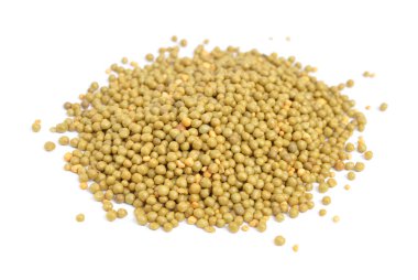 Beyaz arkaplanda izole edilmiş Osmocote gübre tanecikleri.