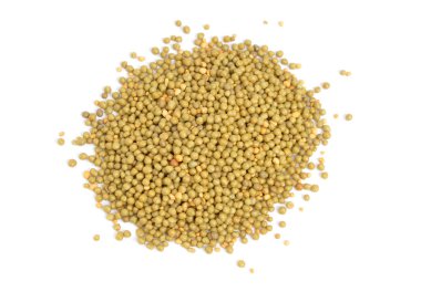 Beyaz arkaplanda izole edilmiş Osmocote gübre tanecikleri.