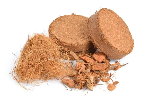 Substrato Coco Coir Briquete Pressionado Com Fibra Batatas Fritas Isolado — Fotografia de Stock
