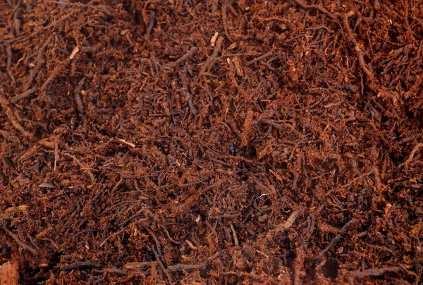 Wątroba Podłoża Kompostu Korzeniowego Fern Kontekst — Zdjęcie stockowe