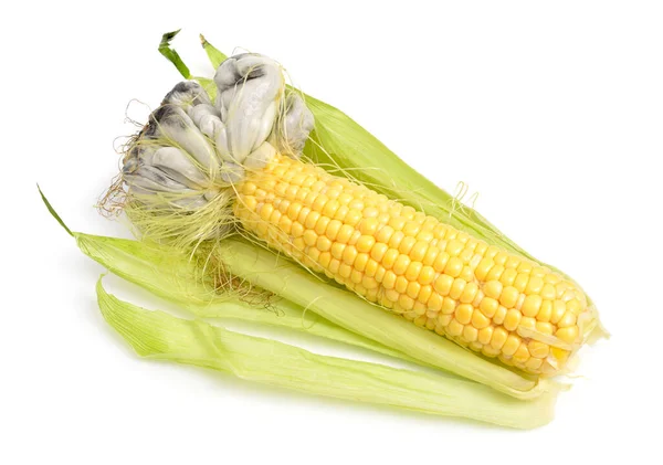 Corn Smut Plant Disease Caused Pathogenic Fungus Ustilago Maydis Isolated — Stock Photo, Image