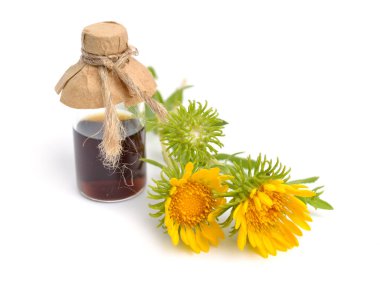 Grindelia squarrosa. Kıvırcık sakız ya da kıvırcık sakız olarak da bilinir.