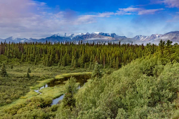 布瓦里森林 泰加荒原景观和克卢安山国家公园山 Keynes Decoeli Background Silver City Western Yukon Territory — 图库照片