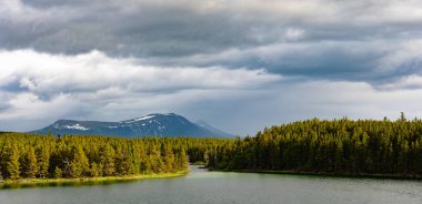 Snafu Gölü Boreal Ormanı üzerindeki kötü hava bulutları Agay Mene Bölgesel Parkı, Yukon Bölgesi, Kanada