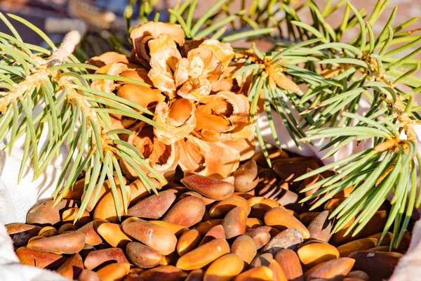 松の実の葉の枝と松の実がまだ松の実でいっぱい松のコーンを鍛造食品 — ストック写真