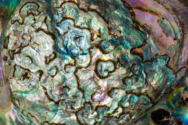 Paua Perlemoen或Abalone壳核珠母内层的自然抽象宏观背景纹理图案 — 图库照片